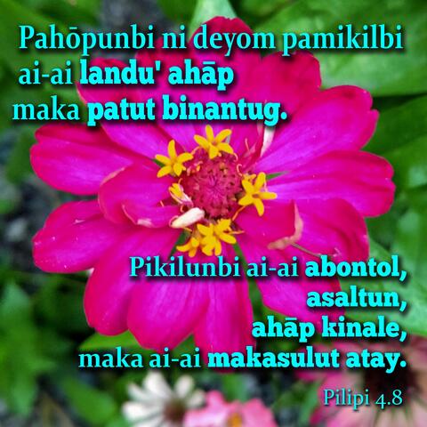 Pilipi 4.8